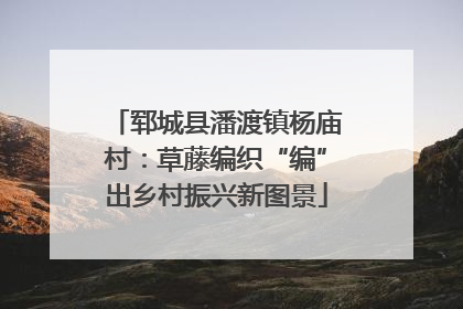 郓城县潘渡镇杨庙村：草藤编织“编”出乡村振兴新图景