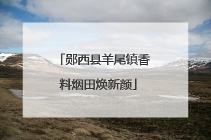 郧西县羊尾镇香料烟田焕新颜