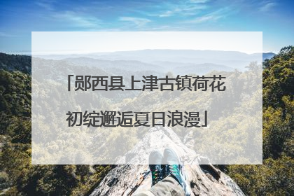 郧西县上津古镇荷花初绽邂逅夏日浪漫