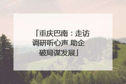 重庆巴南：走访调研听心声 助企破局谋发展