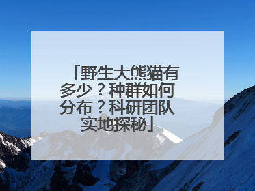 野生大熊猫有多少？种群如何分布？科研团队实地探秘