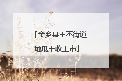 金乡县王丕街道地瓜丰收上市