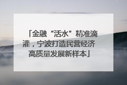 金融“活水”精准滴灌，宁波打造民营经济高质量发展新样本