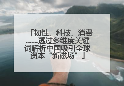 韧性、科技、消费……透过多维度关键词解析中国吸引全球资本“新磁场”