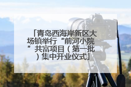 青岛西海岸新区大场镇举行“前河小院”共富项目（第一批）集中开业仪式
