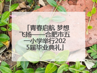 青春启航 梦想飞扬——合肥市五一小学举行2025届毕业典礼