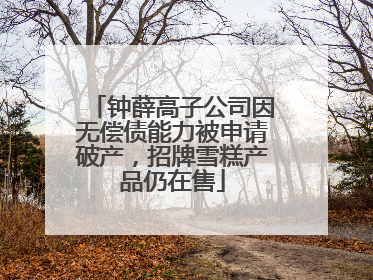 钟薛高子公司因无偿债能力被申请破产，招牌雪糕产品仍在售
