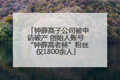 钟薛高子公司被申请破产 创始人账号“钟薛高老林”粉丝仅1800余人