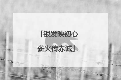 银发映初心 薪火传赤诚