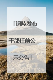 铜陵发布干部任前公示公告