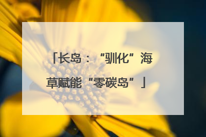 长岛：“驯化”海草赋能“零碳岛”