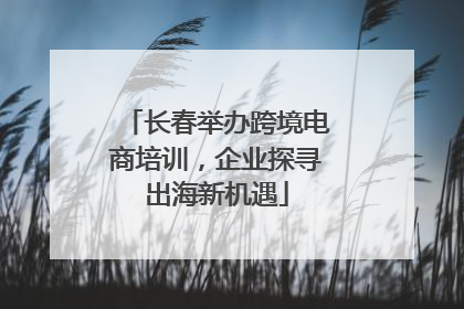 长春举办跨境电商培训，企业探寻出海新机遇