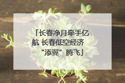 长春净月牵手亿航 长春低空经济“添翼”腾飞