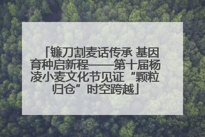 镰刀割麦话传承 基因育种启新程——第十届杨凌小麦文化节见证“颗粒归仓”时空跨越