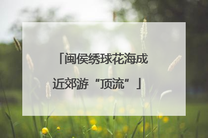 闽侯绣球花海成近郊游“顶流”
