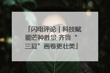 闪电评论｜科技赋能芒种胜景 齐鲁“三夏”画卷更壮美