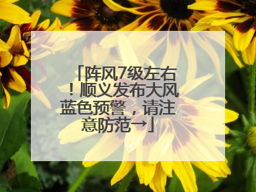 阵风7级左右！顺义发布大风蓝色预警，请注意防范→