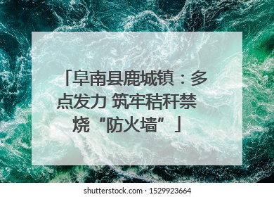 阜南县鹿城镇：多点发力 筑牢秸秆禁烧“防火墙”