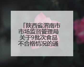 陕西省渭南市市场监督管理局关于9批次食品不合格情况的通告（2025年第9期）