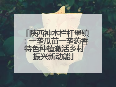陕西神木栏杆堡镇：一垄瓜苗一垄药香 特色种植激活乡村振兴新动能