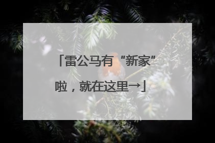 雷公马有“新家”啦，就在这里→