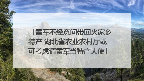 雷军不经意间带回火家乡特产 湖北省农业农村厅或可考虑请雷军当特产大使