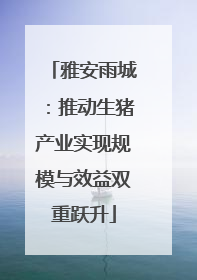 雅安雨城：推动生猪产业实现规模与效益双重跃升