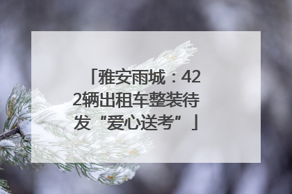 雅安雨城：422辆出租车整装待发“爱心送考”