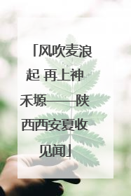 风吹麦浪起 再上神禾塬——陕西西安夏收见闻
