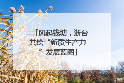 风起钱塘，浙台共绘“新质生产力”发展蓝图