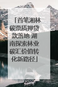 首笔湘林碳票质押贷款落地 湖南探索林业碳汇价值转化新路径