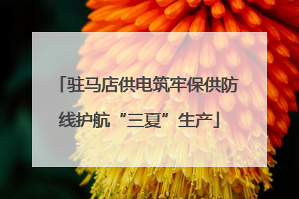 驻马店供电筑牢保供防线护航“三夏”生产