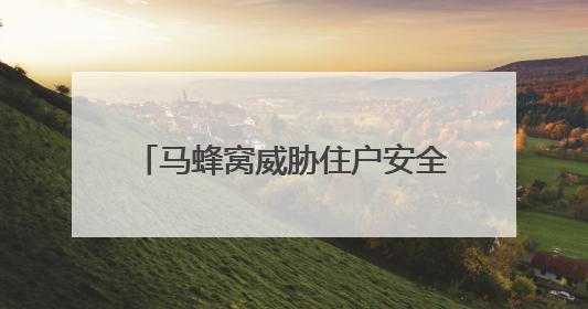 马蜂窝威胁住户安全 宣城消防成功摘除