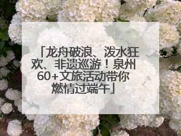 龙舟破浪、泼水狂欢、非遗巡游！泉州60+文旅活动带你燃情过端午