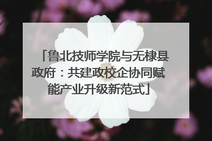 鲁北技师学院与无棣县政府：共建政校企协同赋能产业升级新范式