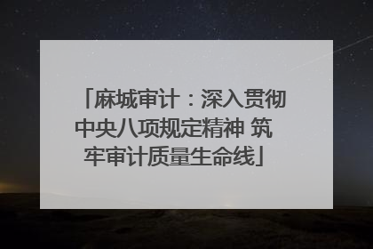 麻城审计：深入贯彻中央八项规定精神 筑牢审计质量生命线