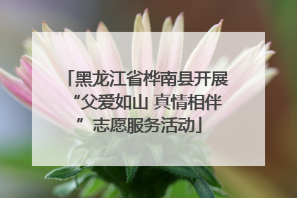 黑龙江省桦南县开展“父爱如山 真情相伴”志愿服务活动