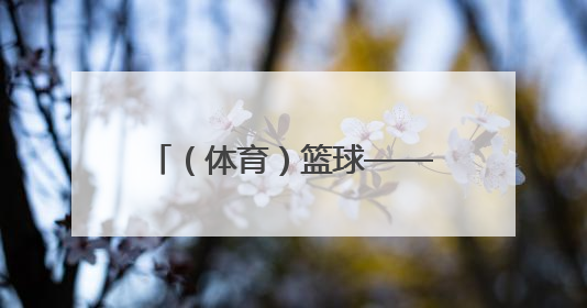 （体育）篮球——NBA总决赛第四场：步行者不敌雷霆