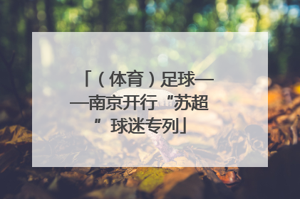 （体育）足球——南京开行“苏超”球迷专列