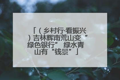 （乡村行·看振兴）吉林辉南荒山变“绿色银行” 绿水青山有“钱景”