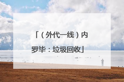 （外代一线）内罗毕：垃圾回收