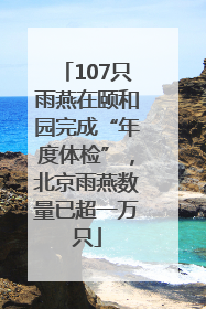 107只雨燕在颐和园完成“年度体检”，北京雨燕数量已超一万只