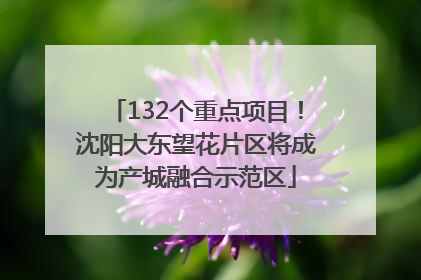 132个重点项目！沈阳大东望花片区将成为产城融合示范区