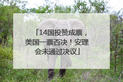 14国投赞成票，美国一票否决！安理会未通过决议