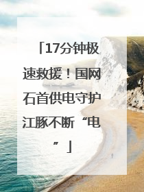 17分钟极速救援！国网石首供电守护江豚不断“电”