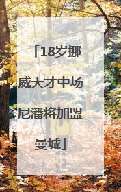 18岁挪威天才中场尼潘将加盟曼城
