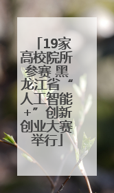 19家高校院所参赛 黑龙江省“人工智能+”创新创业大赛举行