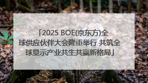2025 BOE(京东方)全球供应伙伴大会隆重举行 共筑全球显示产业共生共赢新格局