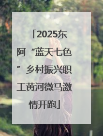 2025东阿“蓝天七色”乡村振兴职工黄河微马激情开跑