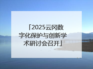 2025云冈数字化保护与创新学术研讨会召开
